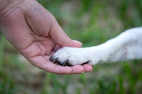 _DSC4838_24April22-Edit