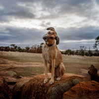 _DSC3747_16May20-Edit