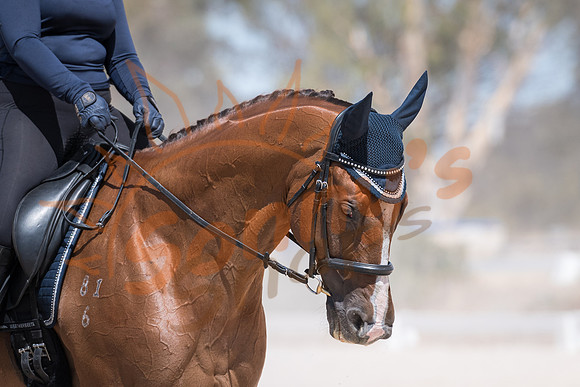SR5_0799DND4200201