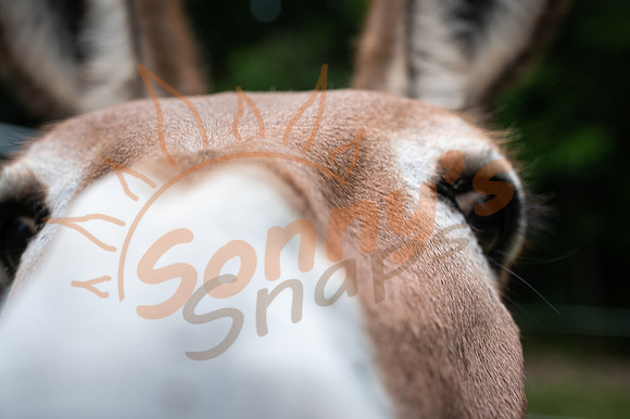_ZSR4402_22February22