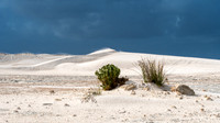 SAR_1554Lancelin180526