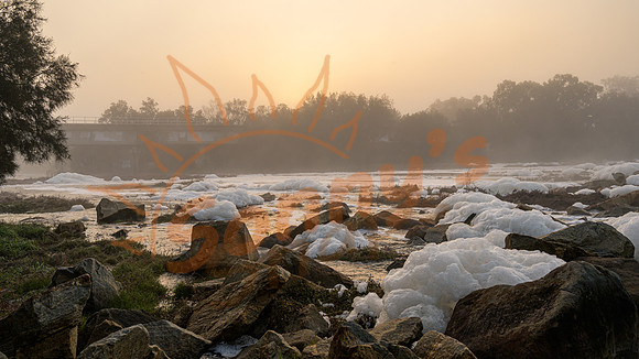 _SR60945_06July19