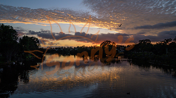 _SR61064_11September19