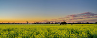 _SR61173_11September19-Pano-Edit