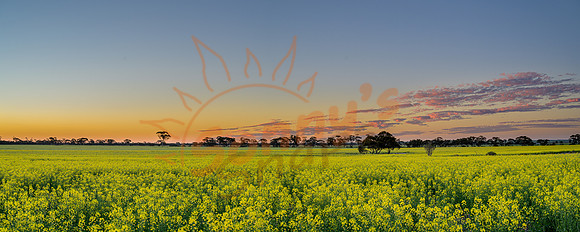 _SR61173_11September19-Pano-Edit