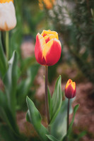 SAR_0224180825