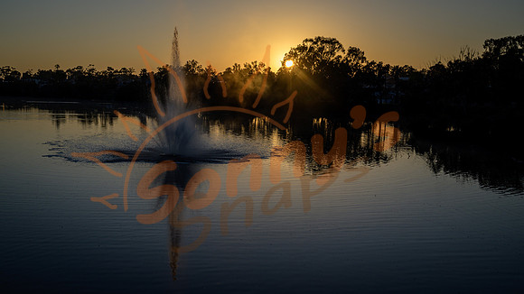 _SR60992_10September19