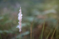 _SR62597_17May19-Edit