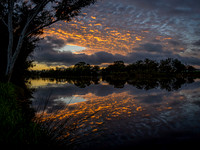 _SR61057_11September19-Pano
