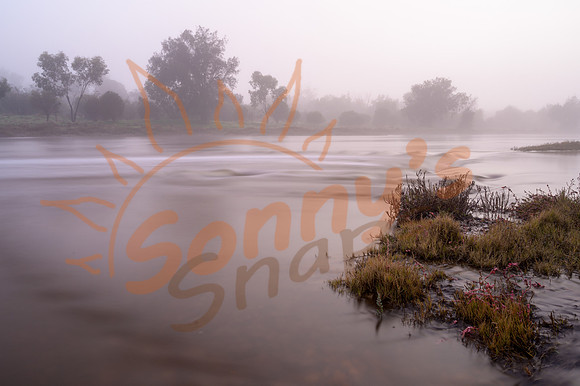 _SR60920_06July19
