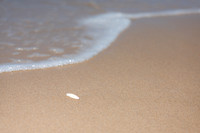 _SR61234_25March20