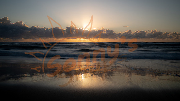 _SR61386_27March20