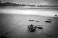 _SR61382_27March20-Edit