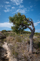 _SR62227_05August19