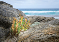 _SR62473_06August19