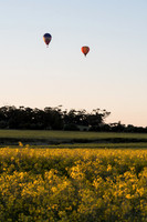 SAR_6849-Balloons-170903