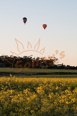 SAR_6849-Balloons-170903