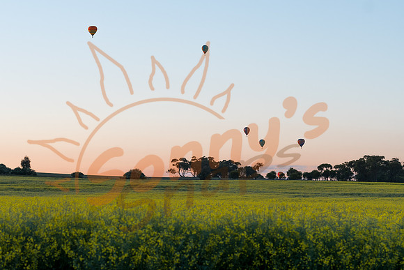 SAR_6810-Balloons-170903