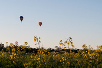 SAR_6856-Balloons-170903