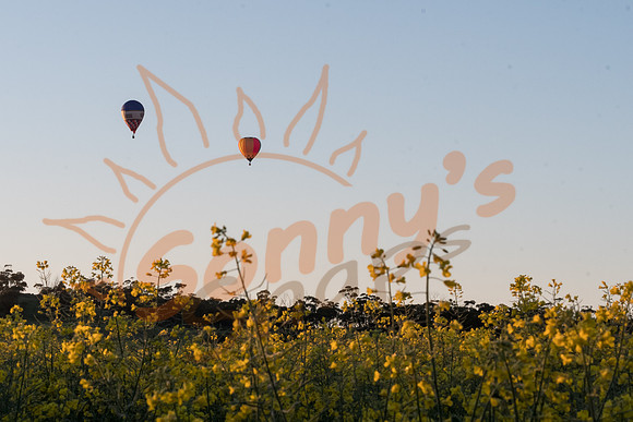 SAR_6856-Balloons-170903