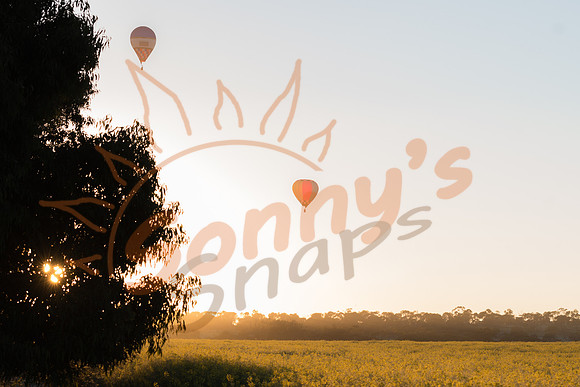 SAR_6867-Balloons-170903