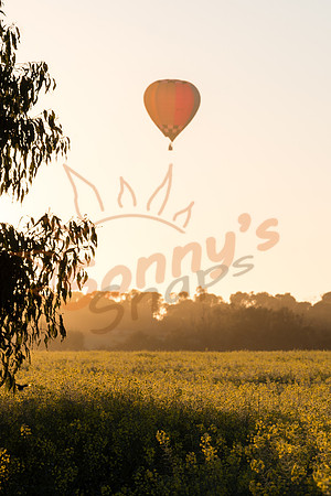 SAR_6869-Balloons-170903