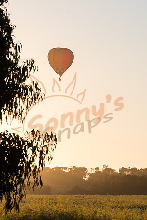 SAR_6872-Balloons-170903