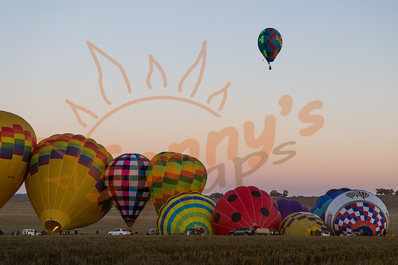 DSC_0396-Balloons4-170905