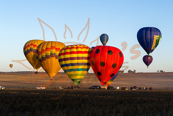 DSC_0406-Balloons4-170905