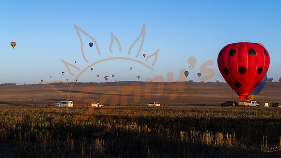 DSC_0415-Balloons4-170905