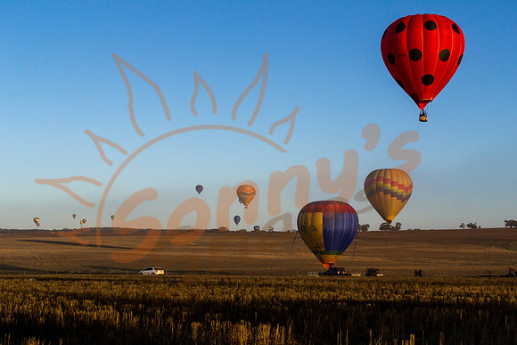 DSC_0419-Balloons4-170905