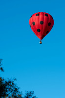 SAR_6965-Balloons-170903