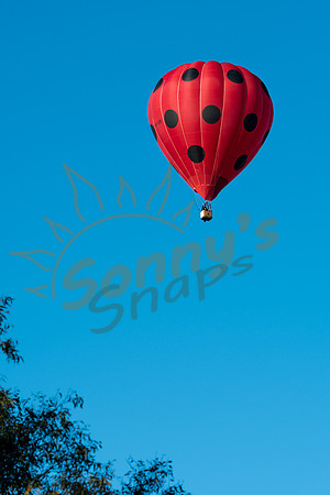 SAR_6965-Balloons-170903