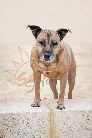 _ZSR0682_10June20-Edit