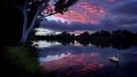 _SR61046_11September19-Edit