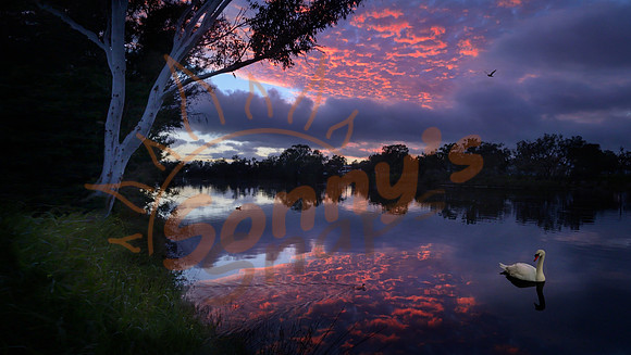 _SR61046_11September19-Edit