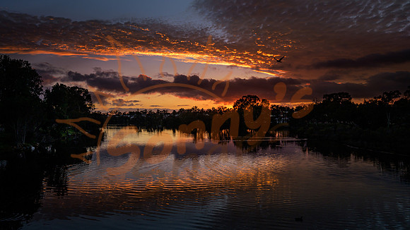 _SR61064_11September19-Edit