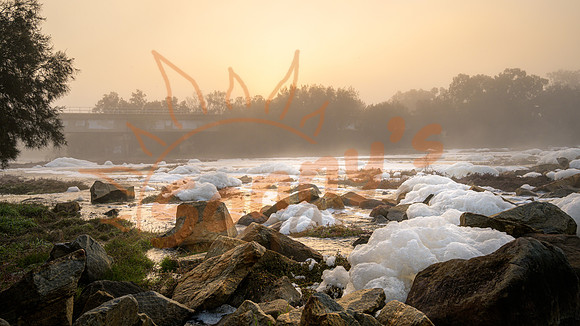 _SR60945_06July19