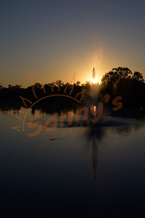 _SR60987_10September19