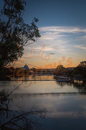 _SR60615_26January20