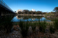 _DSC3593_11May20