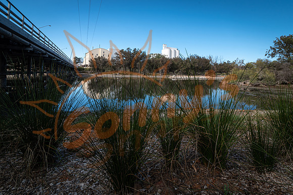 _DSC3593_11May20