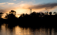 _SR60541_09June19