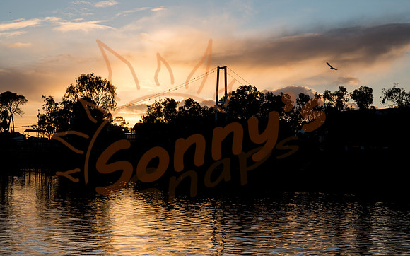 _SR60541_09June19