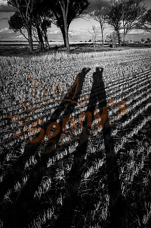 _SR60483_12October19