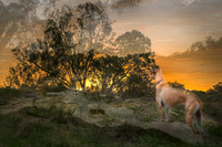 _ZSR1035_22June20-Edit