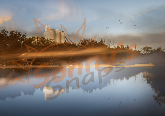 _DSC3587_11May20-Edit-Edit