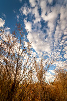 SAR_0704180603