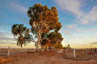 Outback Western Australia