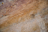 _SR61289_13July19